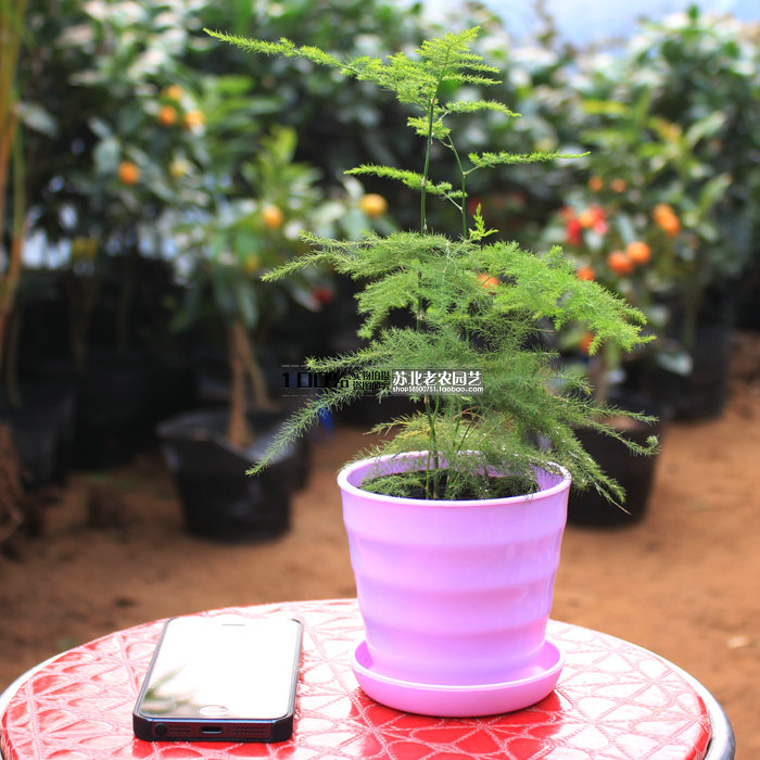 进入冬季，警惕诺如病毒性胃肠炎